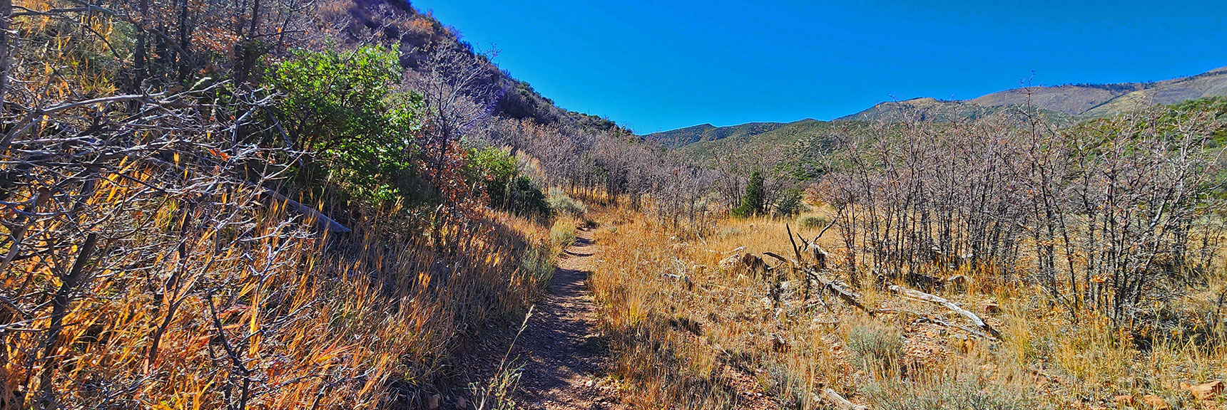 Heading Back Along North Base of Handy Peak to Loop Starting Point. | Schaefer Springs Loop Trail | Lovell Canyon, Nevada