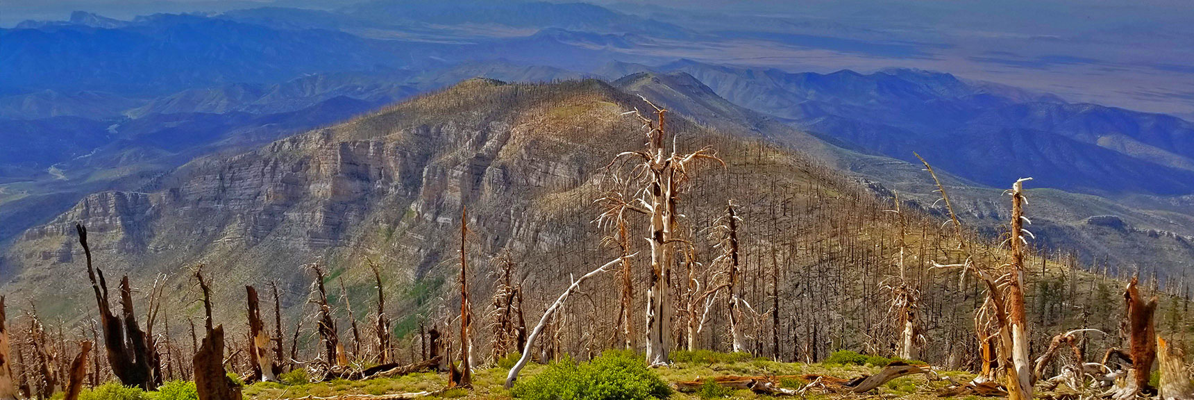 Sexton Ridge Descent from Griffith Peak | Lovell Canyon, Nevada