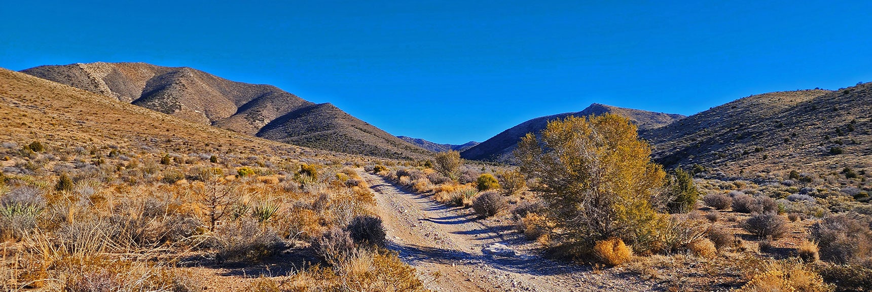 Salt Grass Road is a Great Back Door Access to Mt. Wilson's Summit | Lovell Canyon Roads, Nevada | David Smith | LasV3gasAreaTrails.com