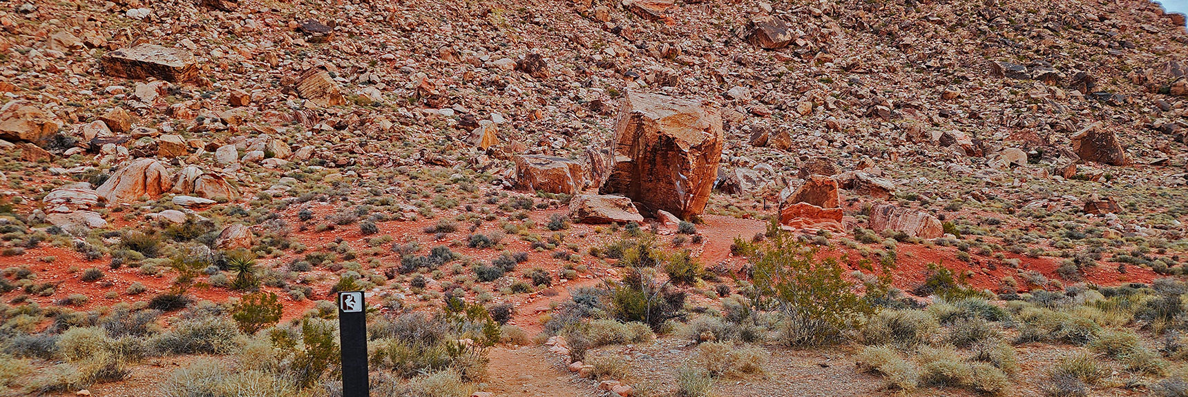 Many Huge Fallen Boulders, Paths Lead to Rock Climbing Practice Boulders | Damsel Peak Southeastern Slope | Calico & Brownstone Basins, Nevada
