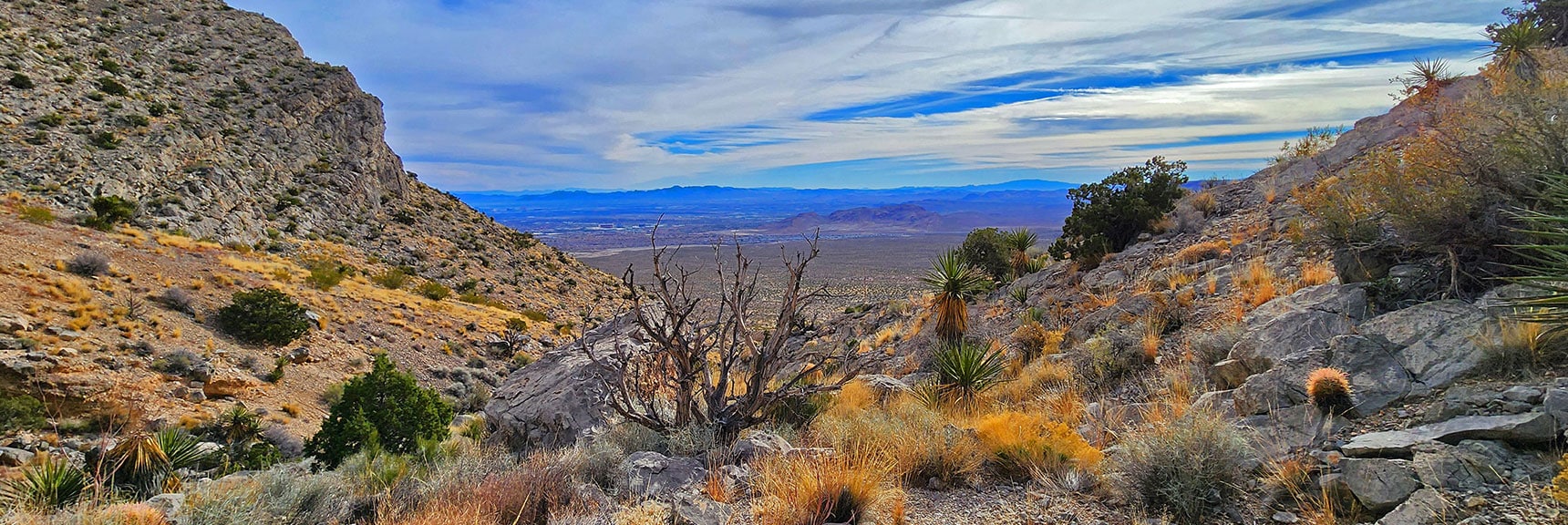 View Out Gully Opening. | Damsel Peak Southeastern Slope | Calico & Brownstone Basins, Nevada