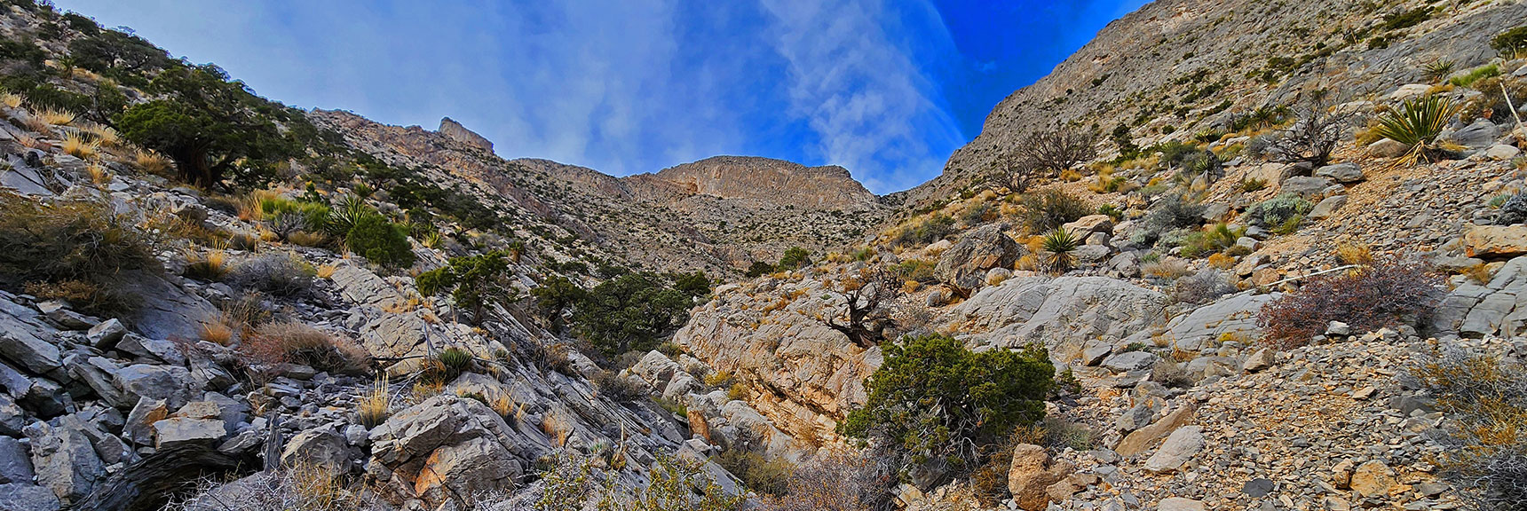 Decision Point: Continue Up Gully or Ascend SE Slope to Left? | Damsel Peak Southeastern Slope | Calico & Brownstone Basins, Nevada
