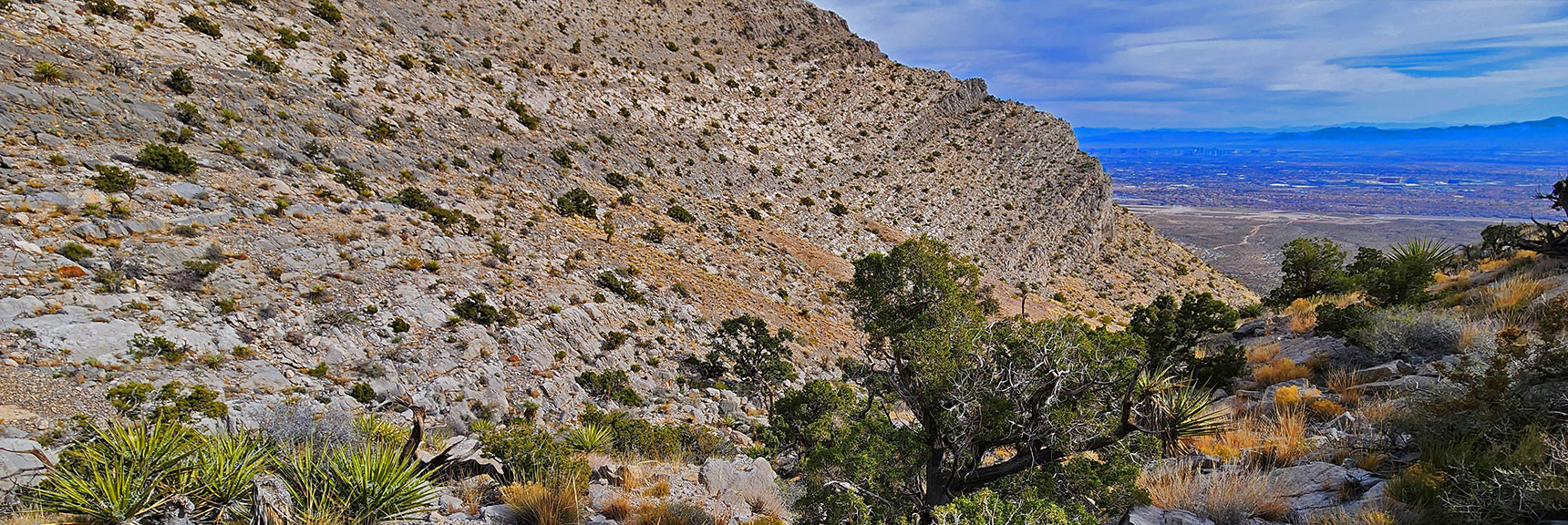 My Reference Tree Far Below in Main Gully Will Guide Will Guide Return Trip | Damsel Peak Southeastern Slope | Calico & Brownstone Basins, Nevada