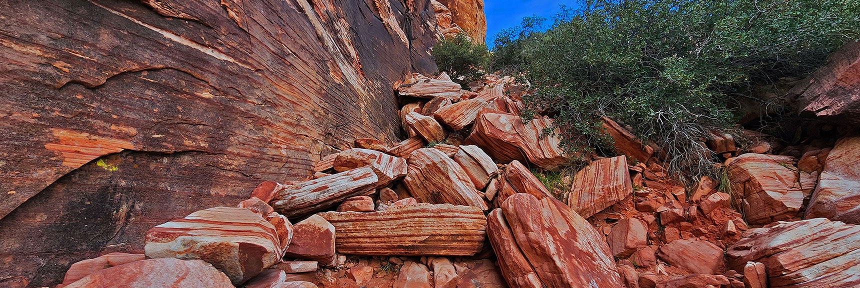 This is Where the Knee Braces Provide Important Padding | Grand Staircase | Calico Basin, Nevada