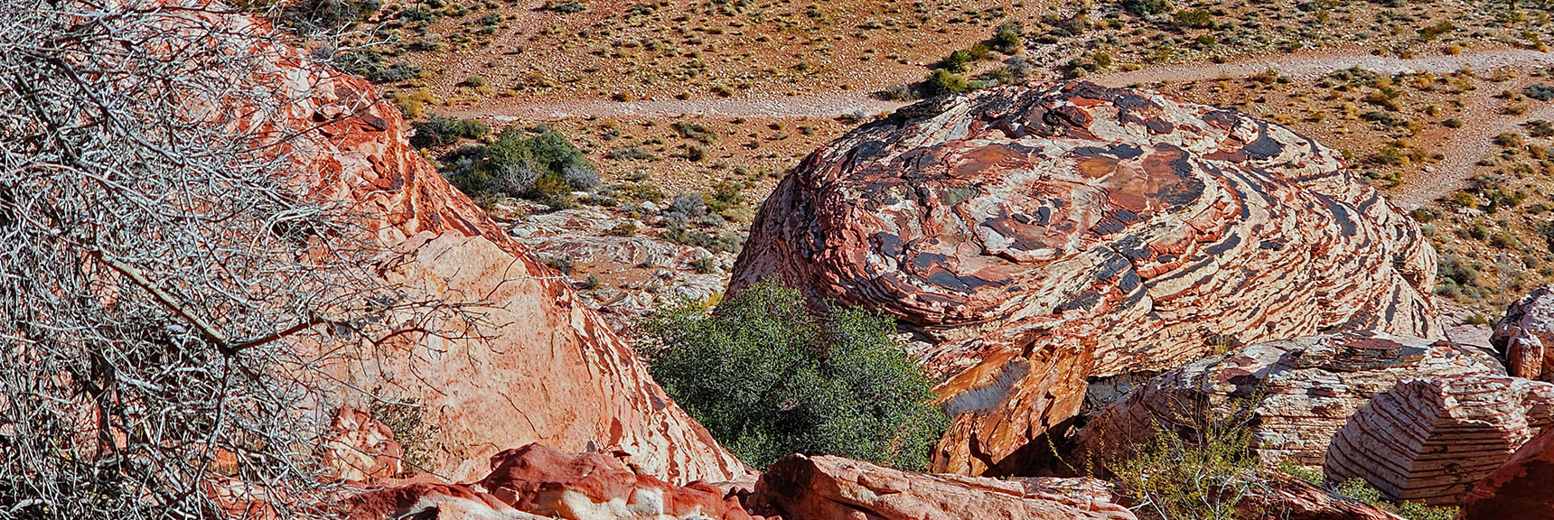 Beautiful Artistic Patterns Etched on Calico Hills Rocks, Cliffs and Ledges | Grand Staircase | Calico Basin, Nevada