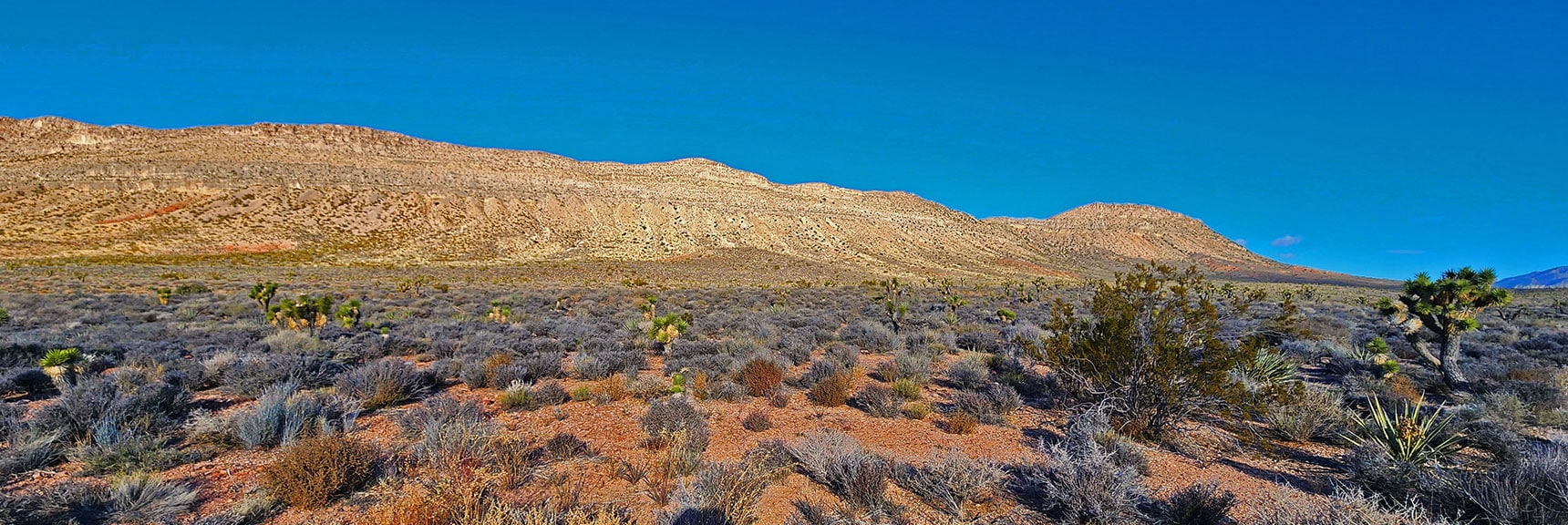 View Up North Along East Side of Landmark Bluff. Note Straight Edge. | Landmark Bluff Summit | Lovell Canyon, Nevada