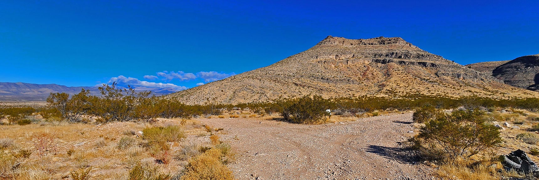 Road Split to 2nd Canyon: Mule Spring Canyon (right split). Will Take Left Split Today. | Landmark Bluff Summit | Lovell Canyon, Nevada