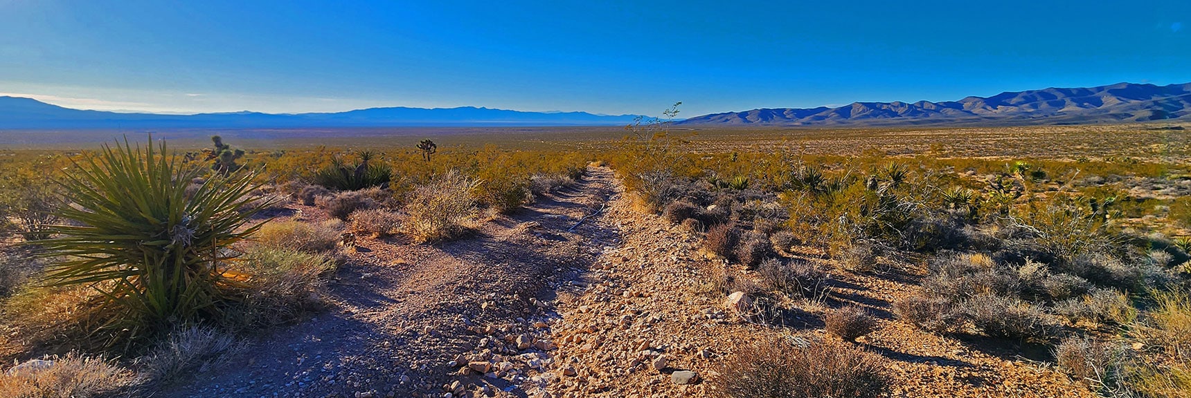 Take Road's Left Split West Away from Mule Spring Canyon | Landmark Bluff Summit | Lovell Canyon, Nevada