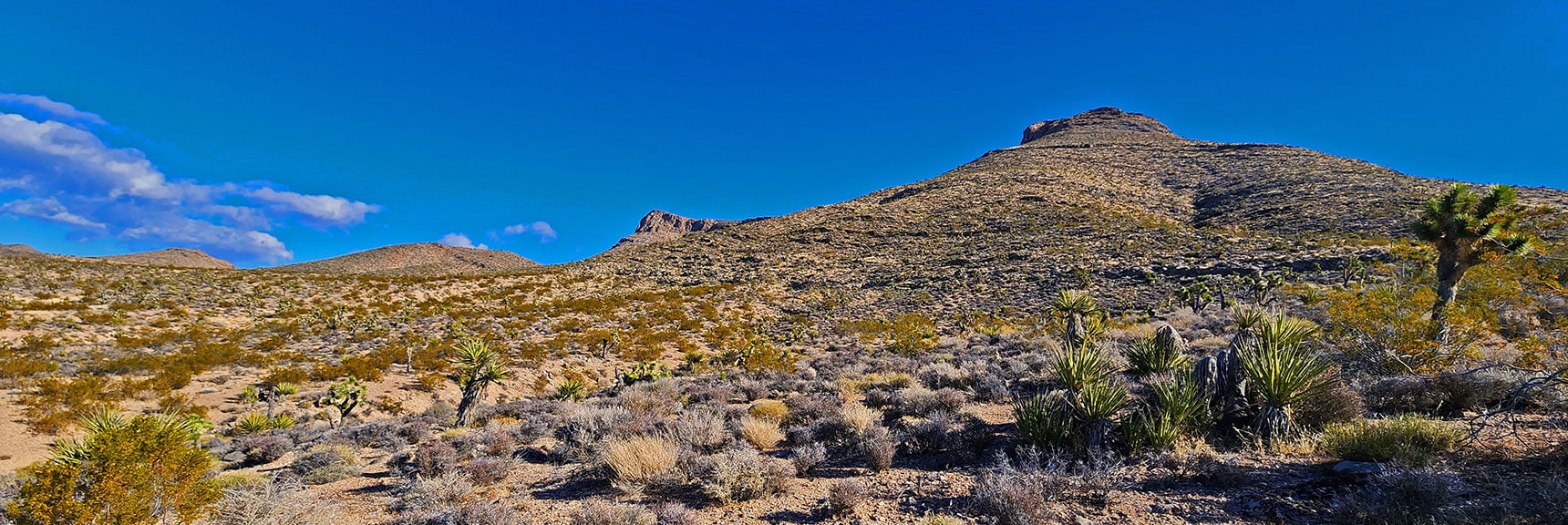 3rd Canyon: Long Ridge Canyon Stretches to Left of Large Hill | Landmark Bluff Summit | Lovell Canyon, Nevada