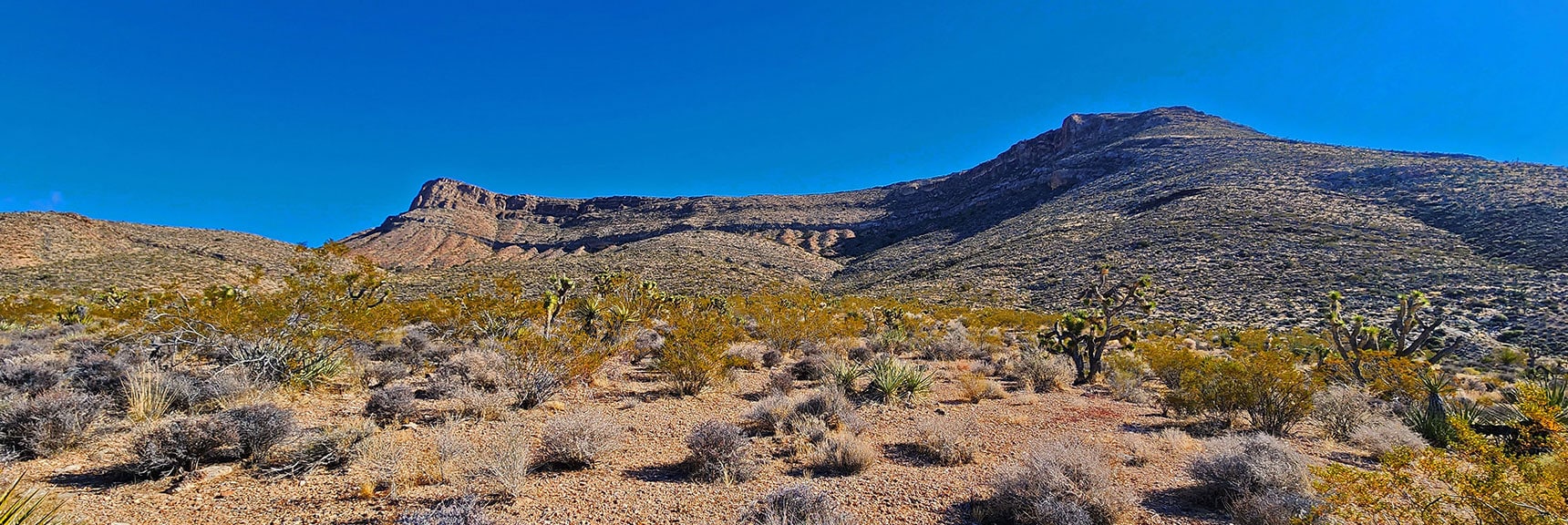 Long Ridge Canyon Has a Vertical Cliff Band Half Way Up Slope. | Landmark Bluff Summit | Lovell Canyon, Nevada
