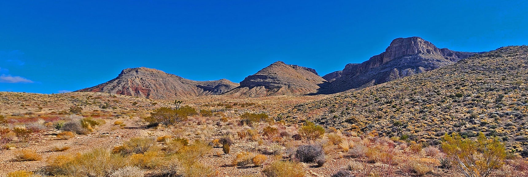Final 2 Canyons: Chute Canyon to Right, Northwest Canyon to Left. | Landmark Bluff Summit | Lovell Canyon, Nevada