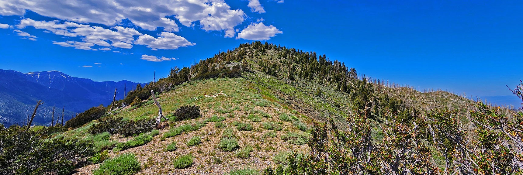 Upper Wilson Ridge to Harris Mountain Summit | Lovell Canyon Ridgelines | Lovell Canyon, Nevada