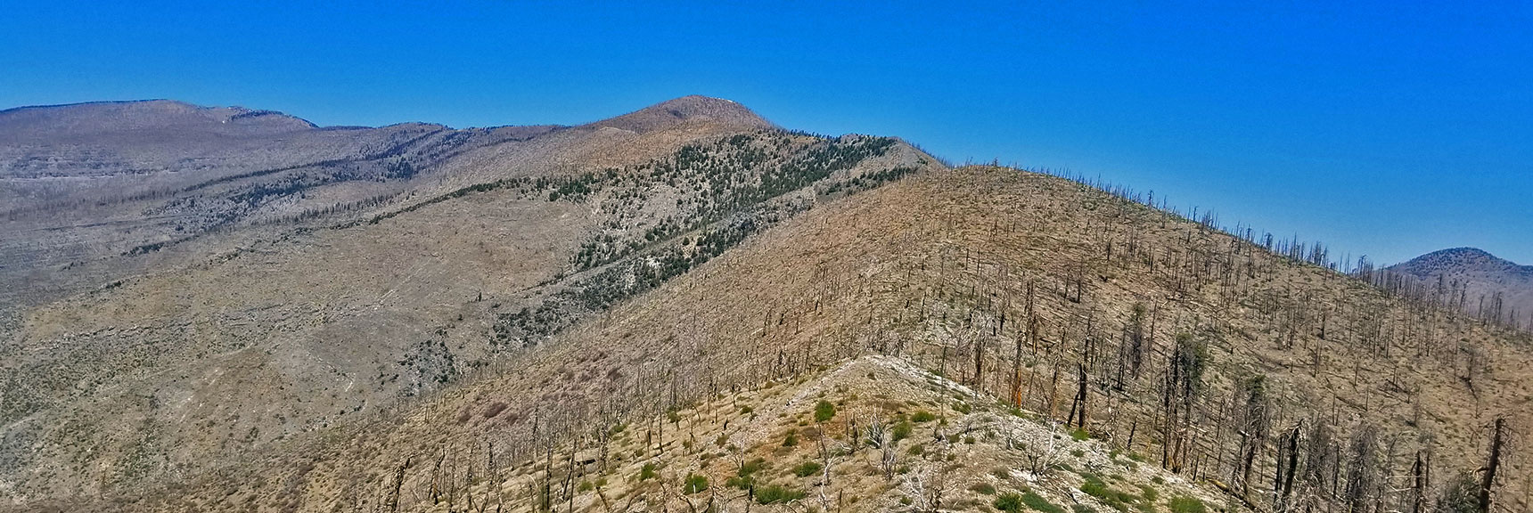 Lower Sexton Ridge View Toward Griffith Peak | Lovell Canyon Ridgelines | Lovell Canyon, Nevada
