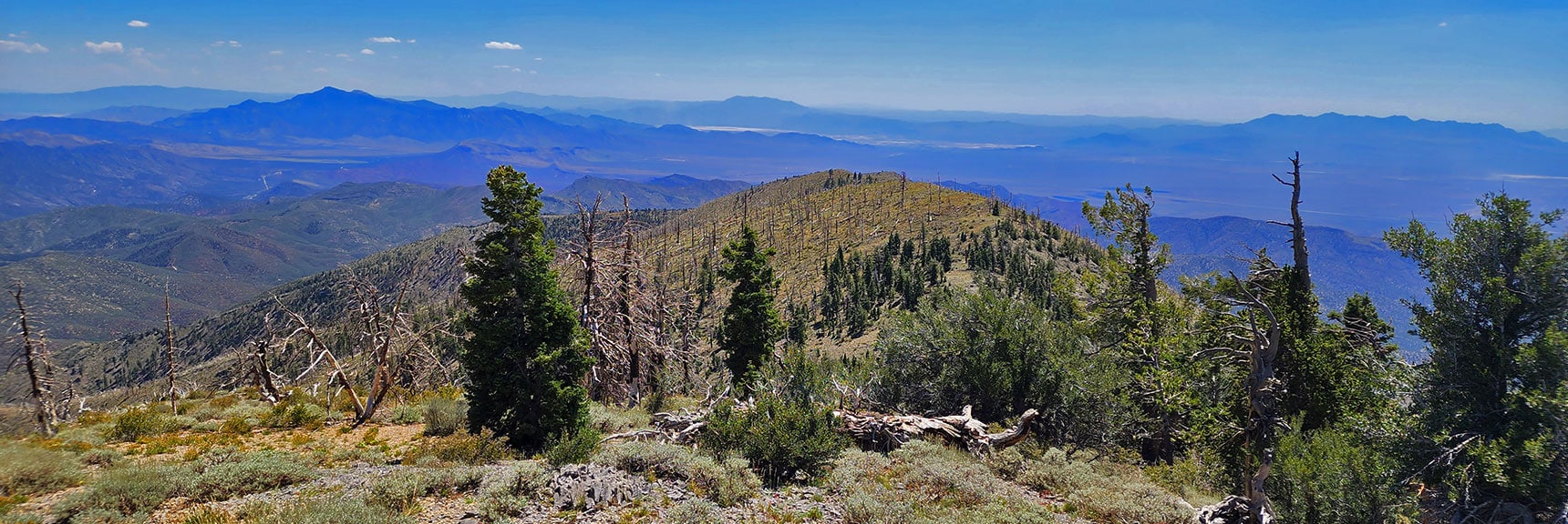 Mid-Ridge View Down Sexton Ridge | Lovell Canyon Ridgelines | Lovell Canyon, Nevada