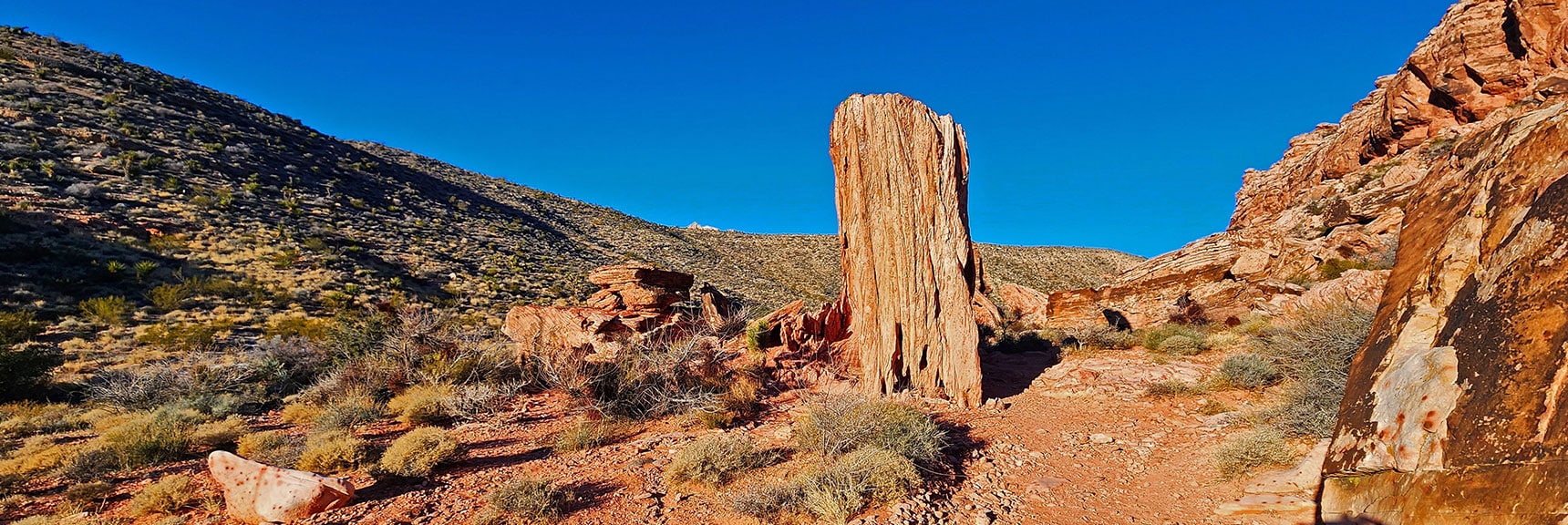 I Call This the Tree Trunk Pinnacle. Ascend Ridge to Left on Lower Calico Hills Trail. | 3 Basin Circuit | Calico Basin, Brownstone Basin, Red Rock Canyon, Nevada