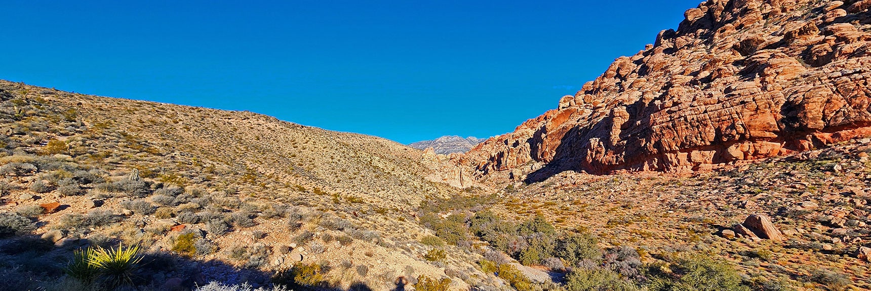 Ascending Ridge Toward the Grand Circle Loop Trail. | 3 Basin Circuit | Calico Basin, Brownstone Basin, Red Rock Canyon, Nevada