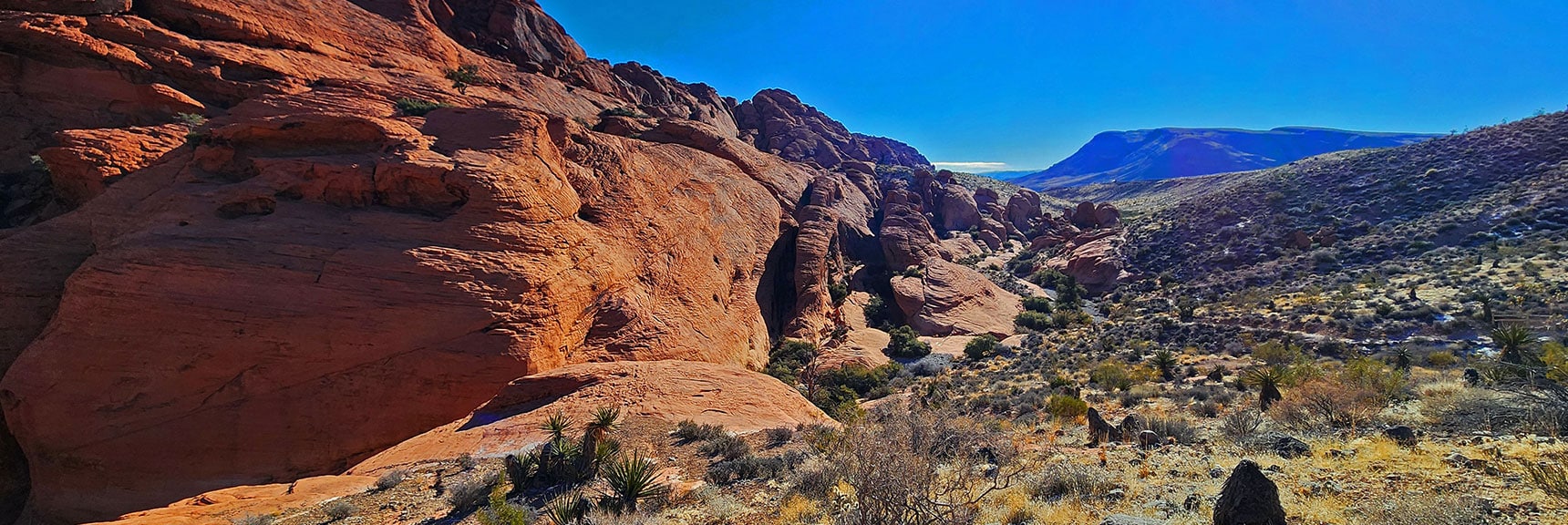 View Back Down Calico Hills. Blue Diamond Hill in Background. | 3 Basin Circuit | Calico Basin, Brownstone Basin, Red Rock Canyon, Nevada