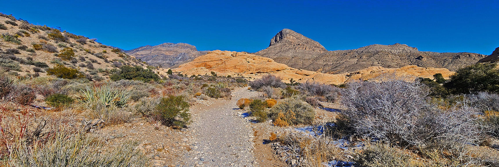 Continue North on Turtlehead Peak Trail. | 3 Basin Circuit | Calico Basin, Brownstone Basin, Red Rock Canyon, Nevada