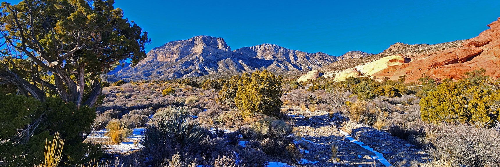View Back Up Brownstone Basin Trail Toward La Madre Ridgeline. | 3 Basin Circuit | Calico Basin, Brownstone Basin, Red Rock Canyon, Nevada