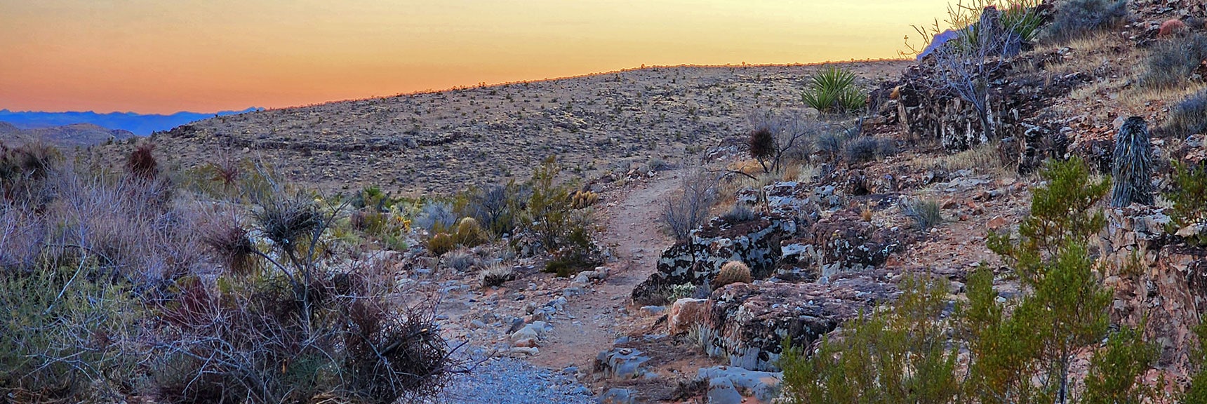 Catch the Half Wilson Trail Toward Calico Basin Road. | 3 Basin Circuit | Calico Basin, Brownstone Basin, Red Rock Canyon, Nevada