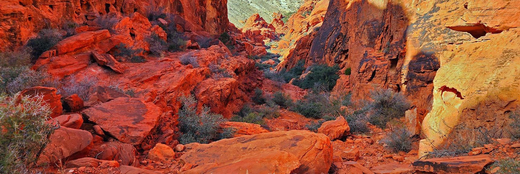 Terrain on Descent to Red Rock Canyon is Similar, But Pathway More Distinct | Lower Calico Hills Loop | Calico Basin & Red Rock Canyon, Nevada