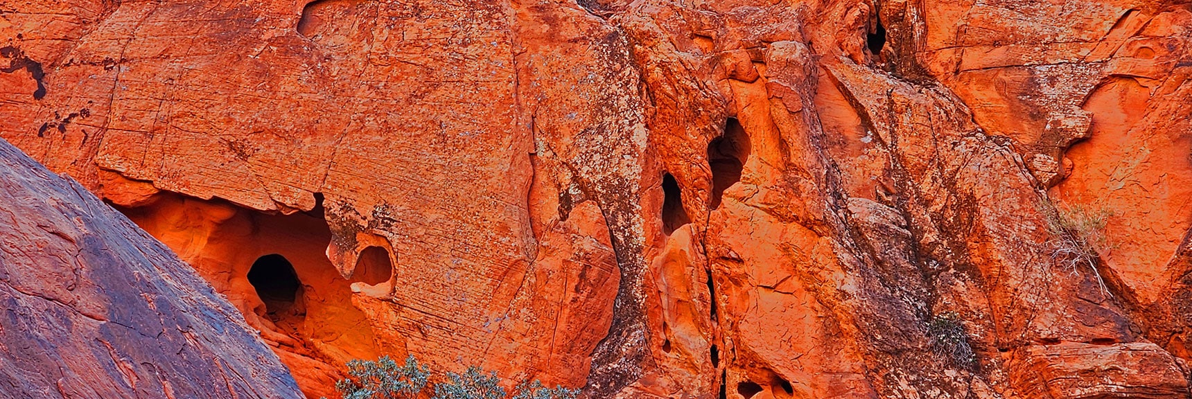 Endless Variations of Rock Art on Cliff Walls | Lower Calico Hills Loop | Calico Basin & Red Rock Canyon, Nevada