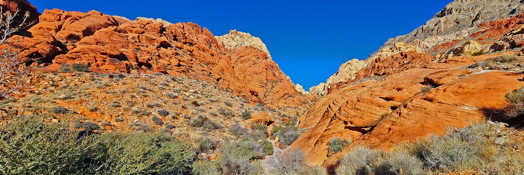 Enter Ash Canyon at the Upper End of Ash Spring | Upper Calico Hills Loop | Calico Basin and Red Rock Canyon, Nevada