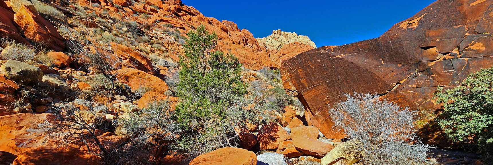Boulders and Brush are Easy to Navigate...At First! | Upper Calico Hills Loop | Calico Basin and Red Rock Canyon, Nevada