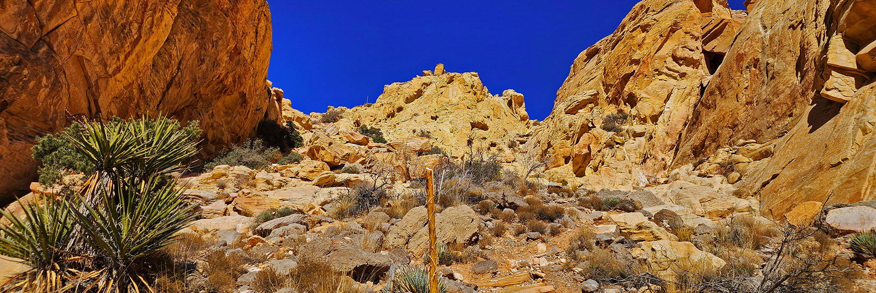 Lighter Sandstone, Smaller Easy Boulders Above. | Upper Calico Hills Loop | Calico Basin and Red Rock Canyon, Nevada
