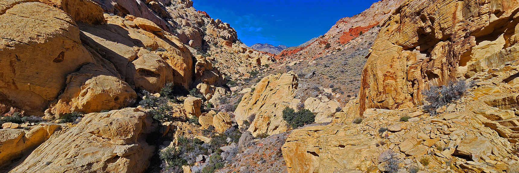 Continue Ahead Through Upper Ash Canyon on the Ash Canyon Trail! | Upper Calico Hills Loop | Calico Basin and Red Rock Canyon, Nevada