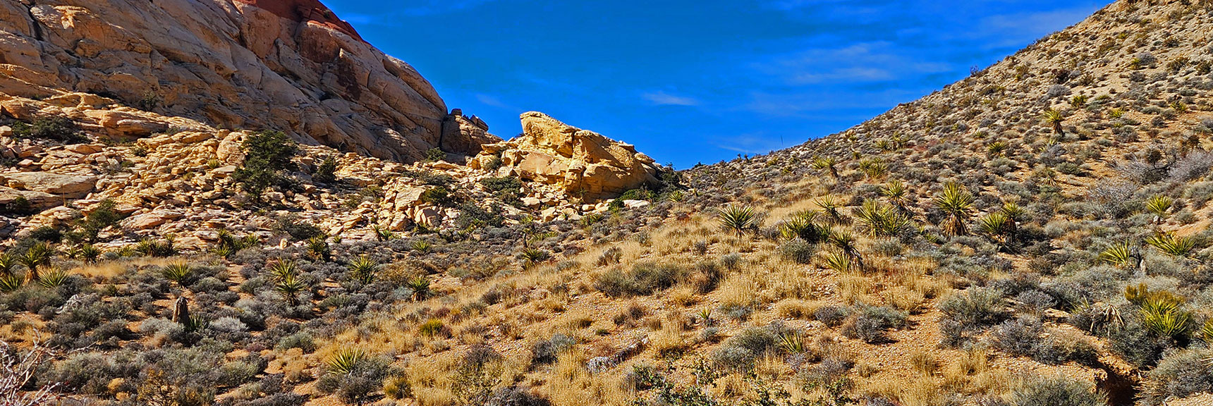 Aim for the Right Side of That Rock Formation to Find the Rattlesnake Trail. | Upper Calico Hills Loop | Calico Basin and Red Rock Canyon, Nevada