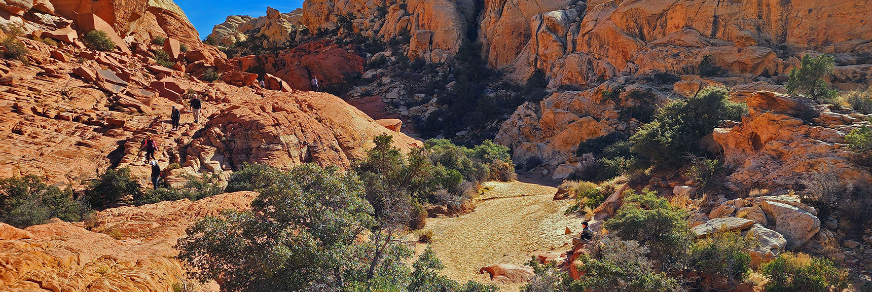 Arrival on the Popular Calico Tanks Trail. Seeing Hikers for First Time Today. | Upper Calico Hills Loop | Calico Basin and Red Rock Canyon, Nevada