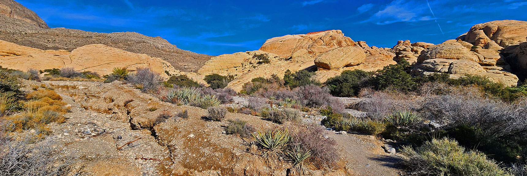 Rounding the Ridgeline, Now Heading to the Sandstone Quarry Trailhead Area | Upper Calico Hills Loop | Calico Basin and Red Rock Canyon, Nevada