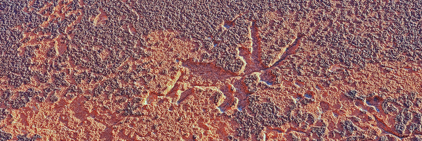 Antelope Petroglyph | Upper Calico Hills Loop | Calico Basin and Red Rock Canyon, Nevada