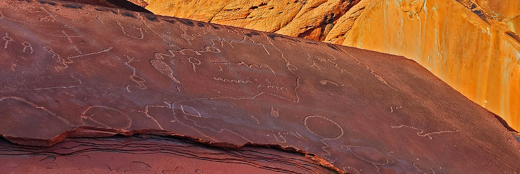 This Artist Was into Circle Shapes. | Upper Calico Hills Loop | Calico Basin and Red Rock Canyon, Nevada