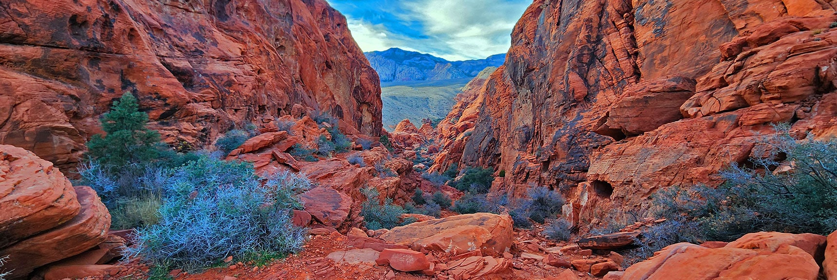 Red Rock Canyon Seen from the Same Spot. Pretty Spectacular! | Upper Calico Hills Loop | Calico Basin and Red Rock Canyon, Nevada
