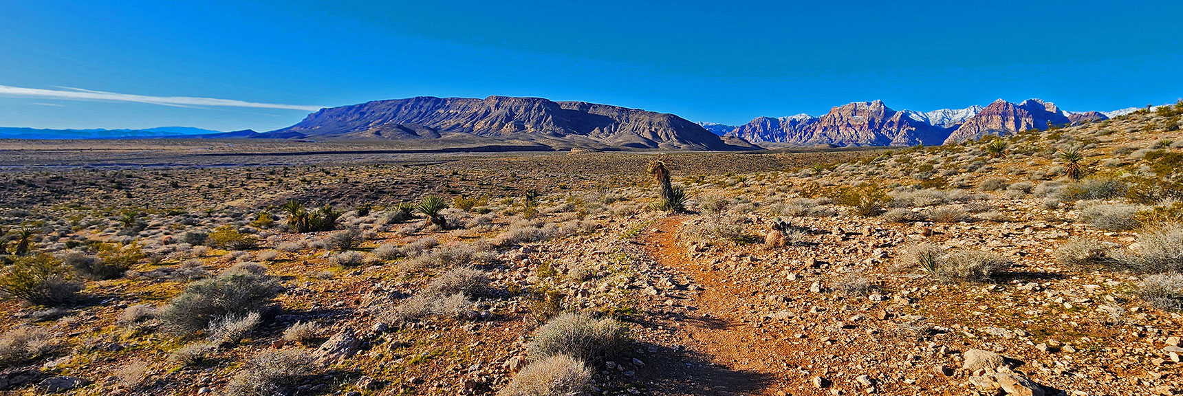 View Back Toward Blue Diamond Hill and Rainbow Mountains. | Brownstone Trail | Calico Basin | Brownstone Basin | La Madre Mountains Wilderness, Nevada