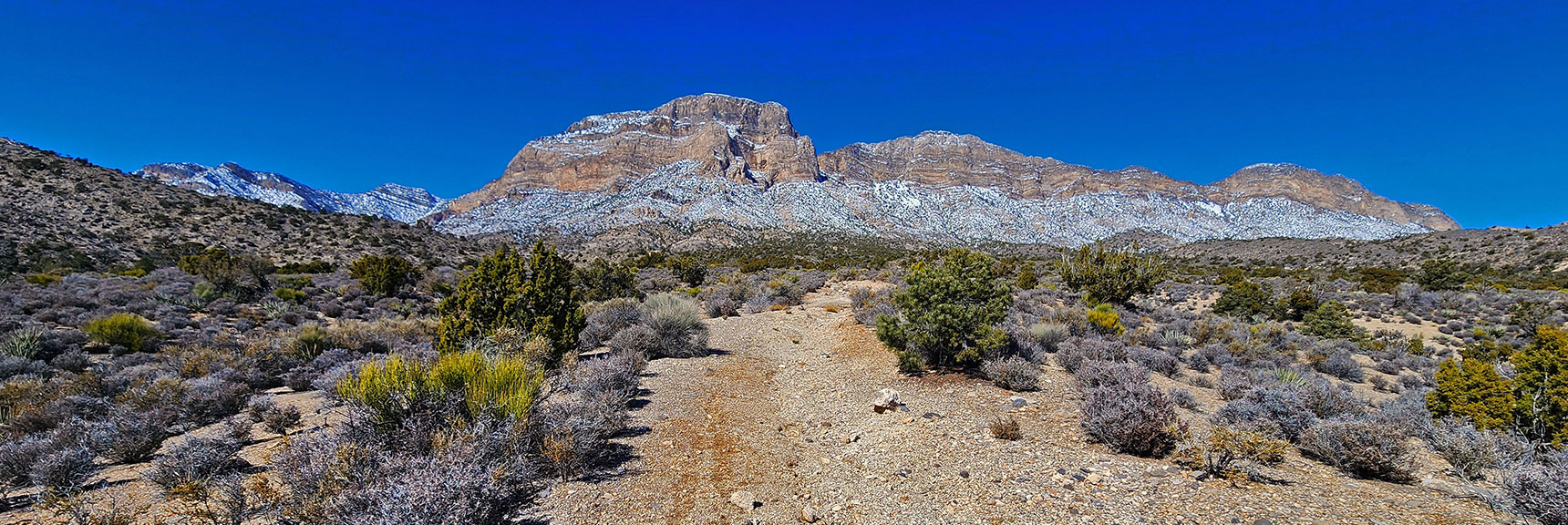 Leave Brownstone Wash, Trail Continues Upward. Target: La Madre Cliffs. | Brownstone Trail | Calico Basin | Brownstone Basin | La Madre Mountains Wilderness, Nevada