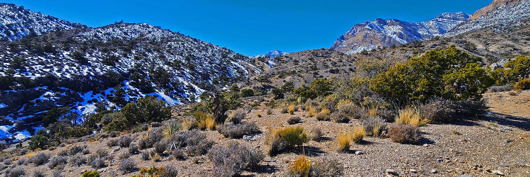 Note Wash Below Ascending Toward Saddle. This is Limestone Trail to Red Rock Canyon | Brownstone Trail | Calico Basin | Brownstone Basin | La Madre Mountains Wilderness, Nevada