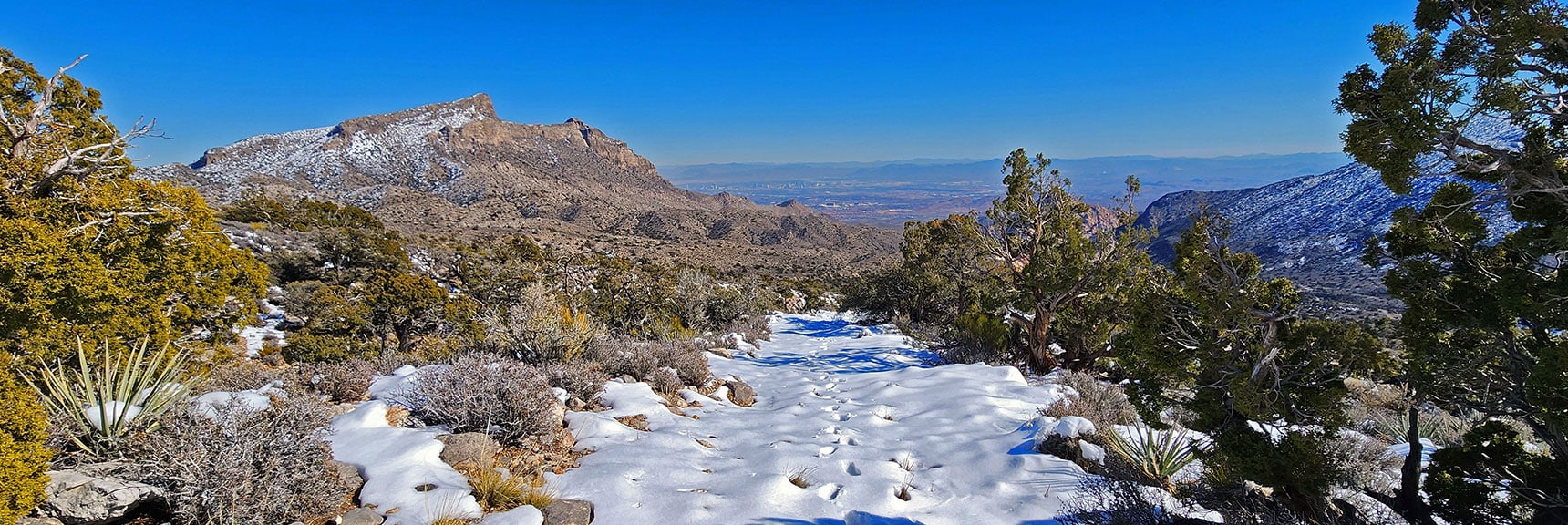 Begin Brownstone Basin Descent. Downhill ALL the Way! | Brownstone Trail | Calico Basin | Brownstone Basin | La Madre Mountains Wilderness, Nevada