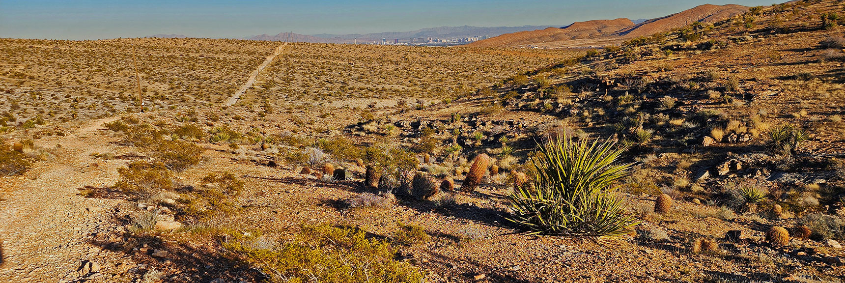 Cactus Garden on Peak 3844 Trail. Powerline Maintenance Road, Vegas Valley Below. | Brownstone Trail | Calico Basin | Brownstone Basin | La Madre Mountains Wilderness, Nevada