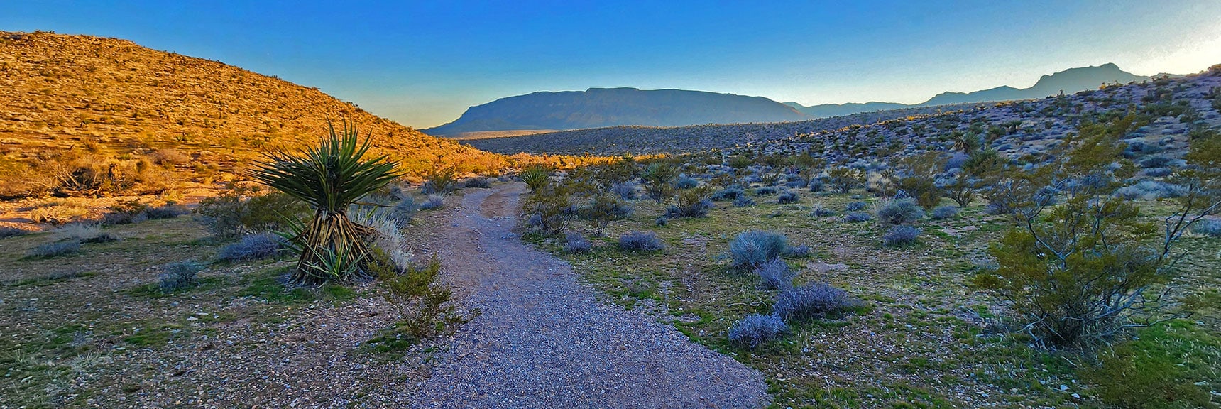 Continue on Gene's Trail Over Ridge to Right, Then Down to Gene's Trailhead | Brownstone Trail | Calico Basin | Brownstone Basin | La Madre Mountains Wilderness, Nevada