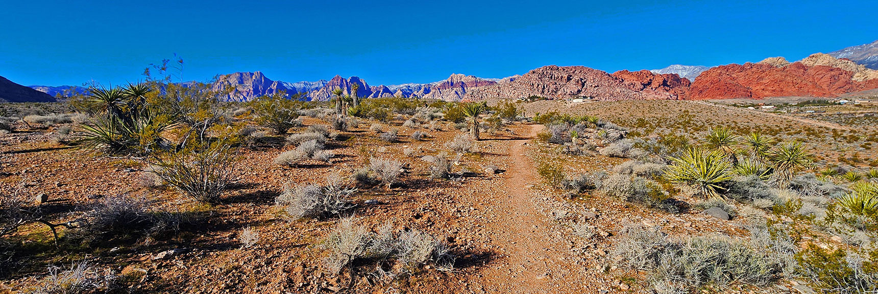 Great Trails You Can Walk, Run or Bike Just a Few Miles from Las Vegas | Calico Basin Daily Workout Trails | Calico Basin, Nevada
