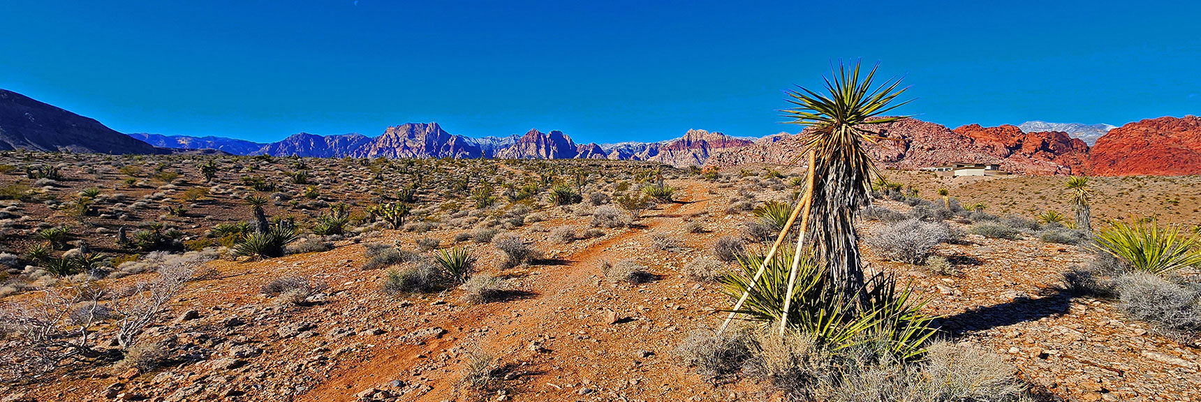 Freeway Trail Toward Red Rock Canyon. Trekking Poles Are Valuable Gear. | Calico Basin Daily Workout Trails | Calico Basin, Nevada