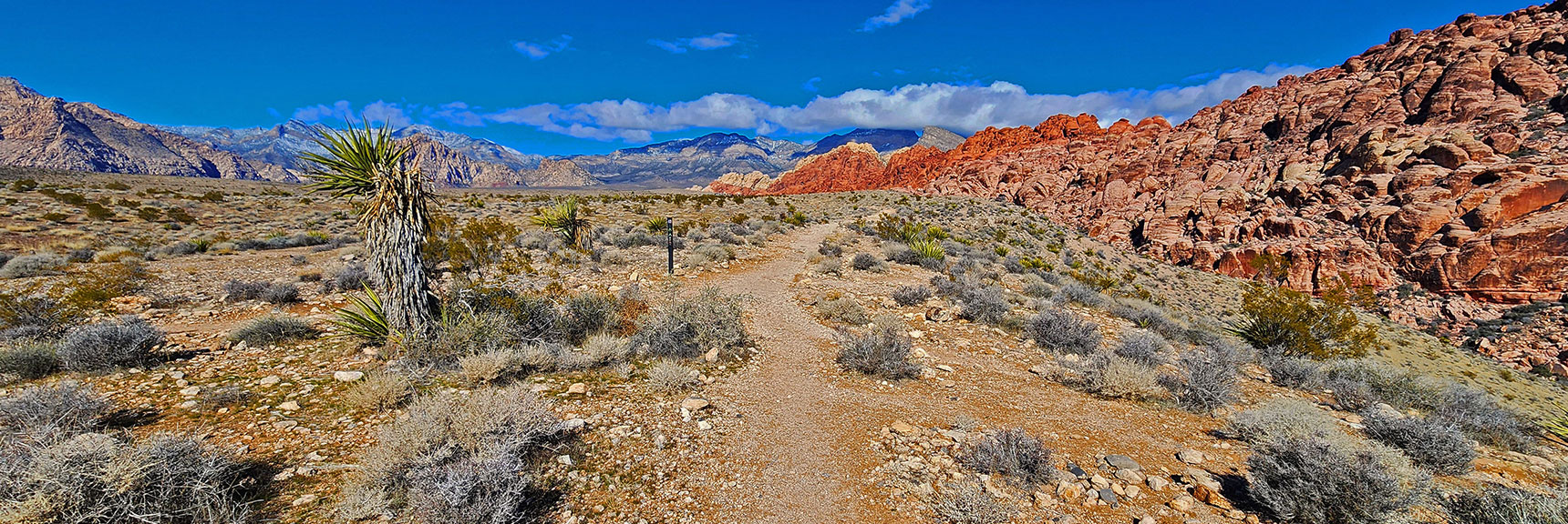 At Southwest Edge of Calico Hills (Grand Circle Loop Sign) Make Right Turn Descent into Canyon | Calico Basin Daily Workout Trails | Calico Basin, Nevada