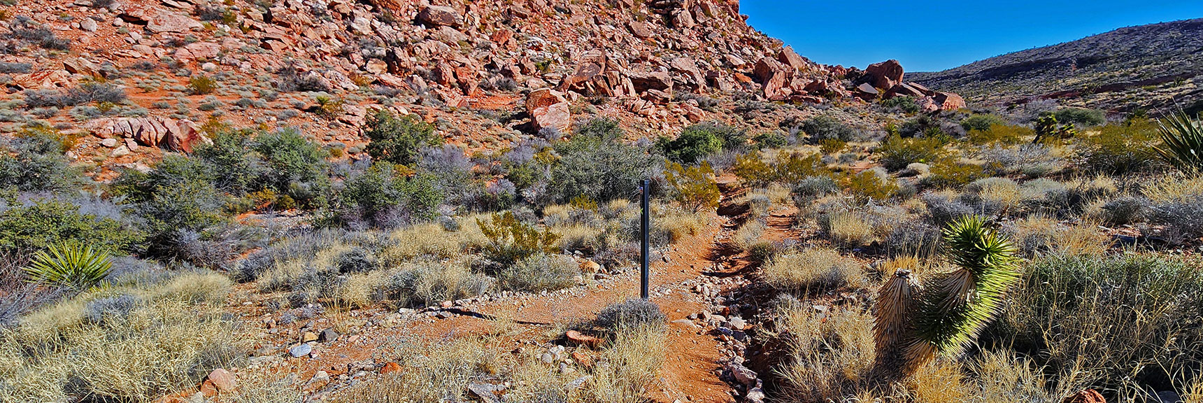 Right Turn onto Donkey Way Trail. Continue Along Southern Base of Calico Hills | Calico Basin Daily Workout Trails | Calico Basin, Nevada