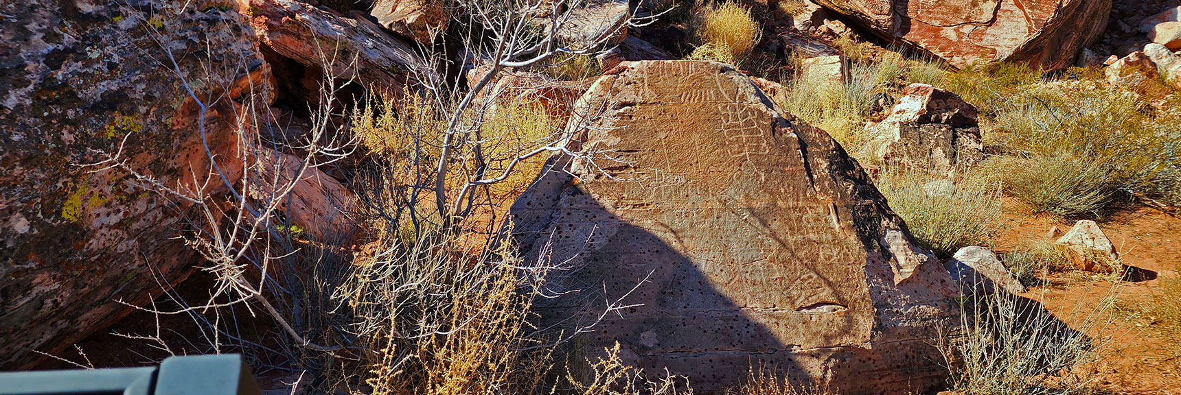 Boardwalk Passes a Fascinating Petroglyph Boulder | Calico Basin Daily Workout Trails | Calico Basin, Nevada