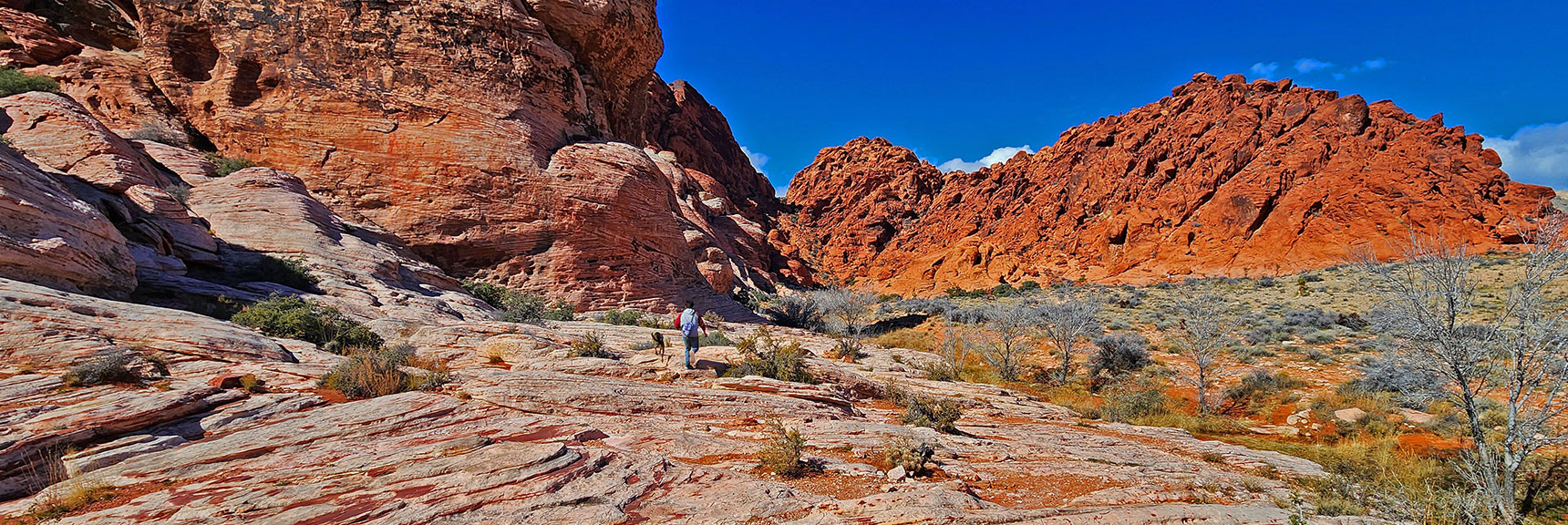 Approaching the Black Corridor at Upper End of Calico Basin Trail | Calico Basin Daily Workout Trails | Calico Basin, Nevada