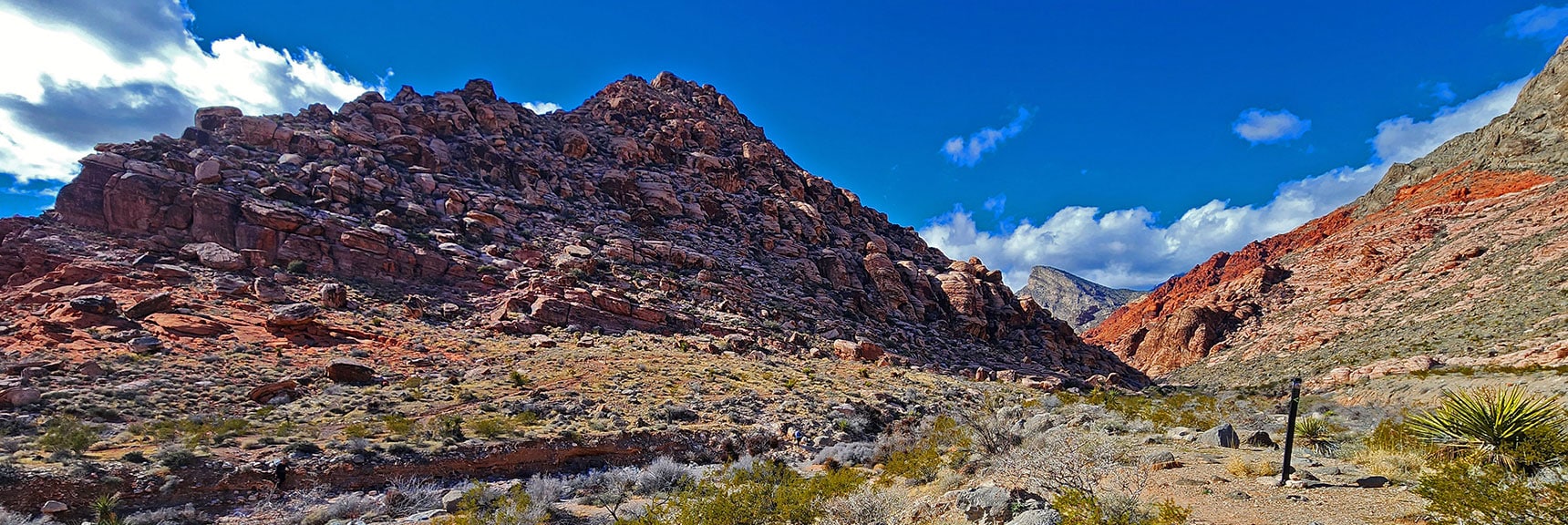 View Back to Southeast Corner of Kraft Mt. Turtlehead Peak Seen Up Gateway Canyon | Calico Basin Daily Workout Trails | Calico Basin, Nevada