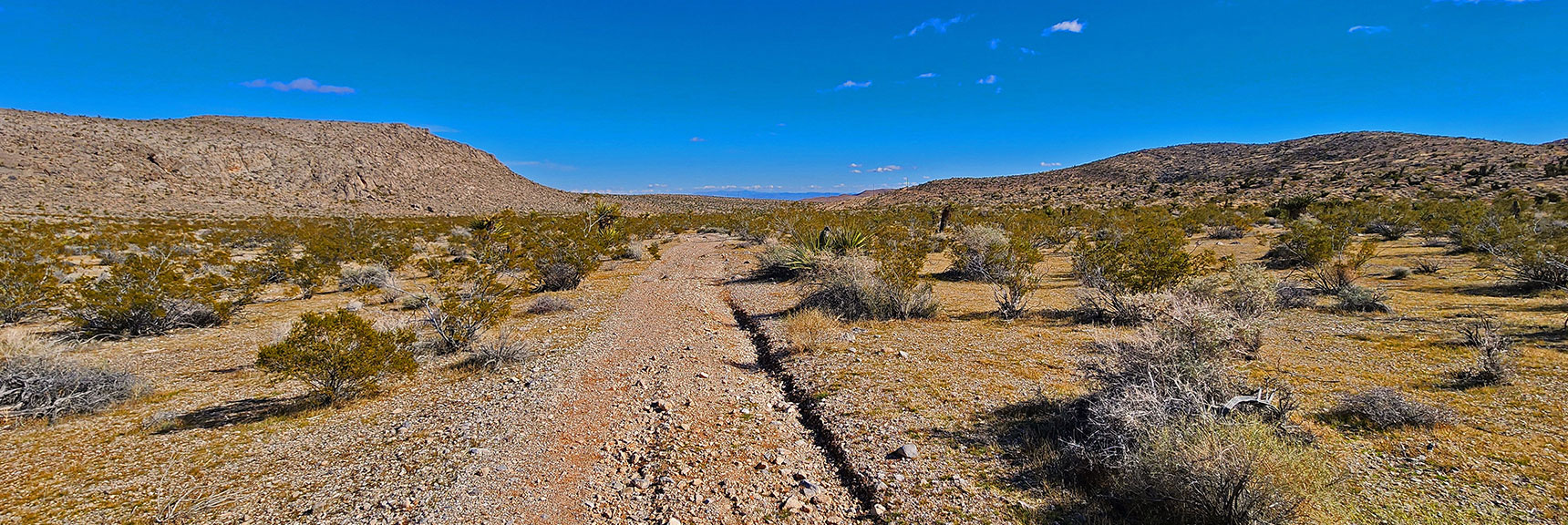 At Low Ridgeline Saddle Ahead, You'll Circle Peak 3844 Ridge to Right | Calico Basin Daily Workout Trails | Calico Basin, Nevada